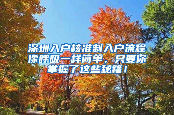 深圳入户核准制入户流程像呼吸一样简单，只要你掌握了这些秘籍！