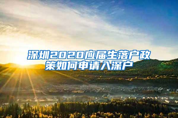 深圳2020应届生落户政策如何申请入深户