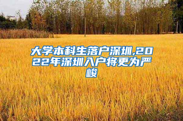 大学本科生落户深圳,2022年深圳入户将更为严峻