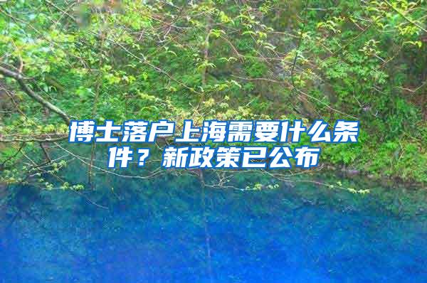 博士落户上海需要什么条件？新政策已公布