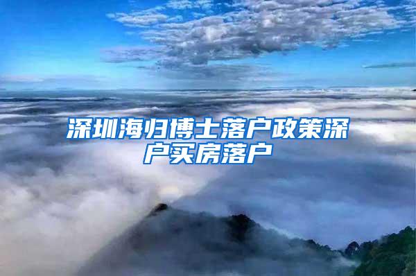 深圳海归博士落户政策深户买房落户