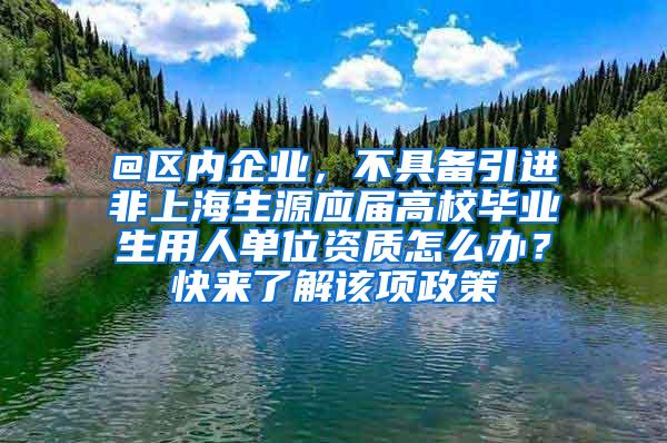 @区内企业，不具备引进非上海生源应届高校毕业生用人单位资质怎么办？快来了解该项政策