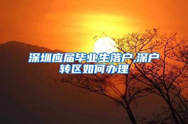 深圳应届毕业生落户,深户转区如何办理