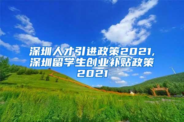 深圳人才引进政策2021,深圳留学生创业补贴政策2021