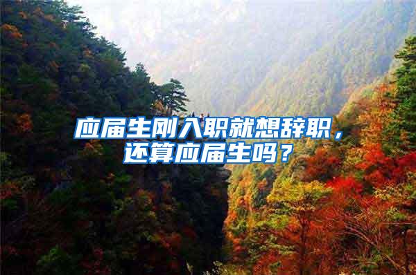 应届生刚入职就想辞职，还算应届生吗？