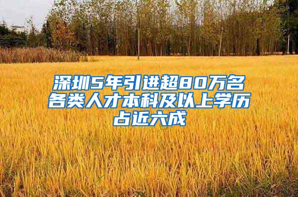 深圳5年引进超80万名各类人才本科及以上学历占近六成