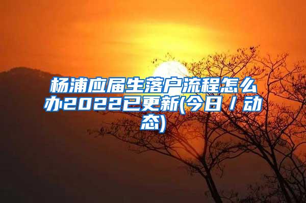 杨浦应届生落户流程怎么办2022已更新(今日／动态)