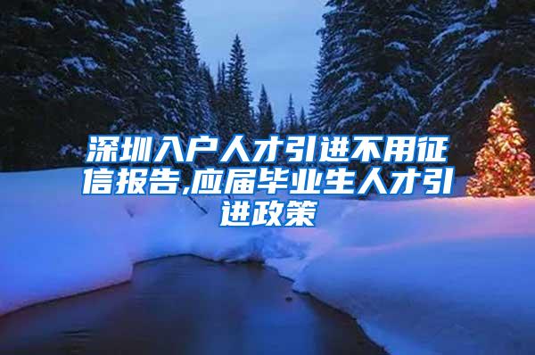 深圳入户人才引进不用征信报告,应届毕业生人才引进政策