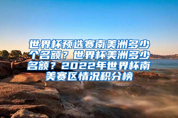 世界杯预选赛南美洲多少个名额？世界杯美洲多少名额？2022年世界杯南美赛区情况积分榜