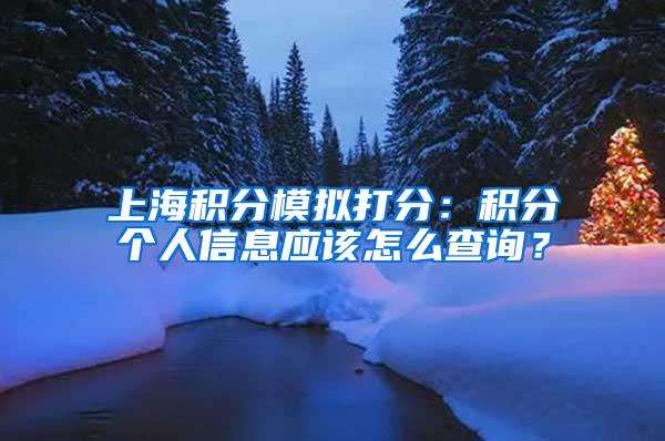 上海积分模拟打分：积分个人信息应该怎么查询？