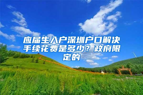 应届生入户深圳户口解决手续花费是多少？政府限定的