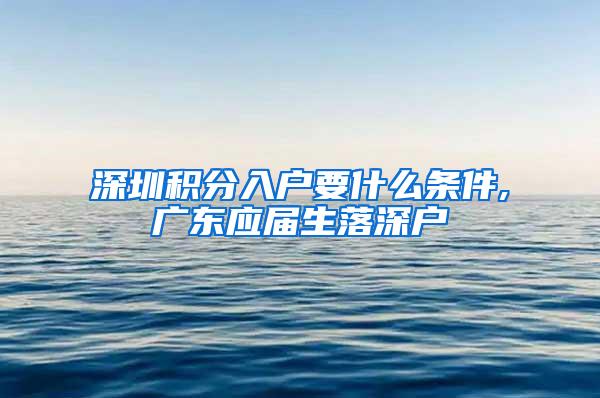 深圳积分入户要什么条件,广东应届生落深户