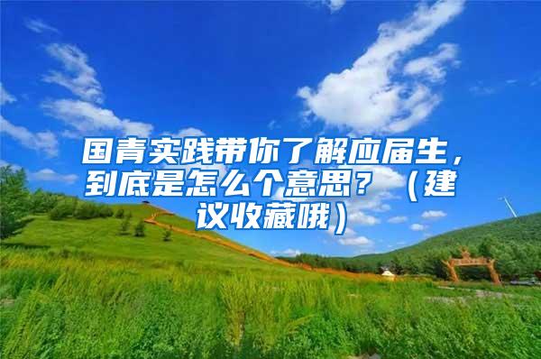 国青实践带你了解应届生，到底是怎么个意思？（建议收藏哦）