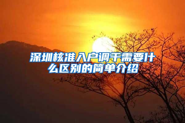 深圳核准入户调干需要什么区别的简单介绍