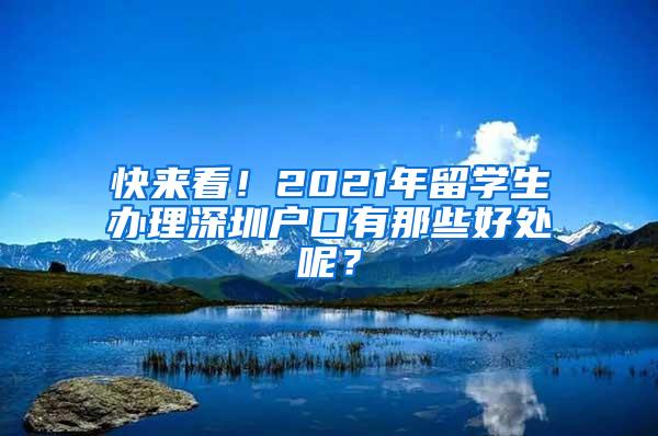 快来看！2021年留学生办理深圳户口有那些好处呢？