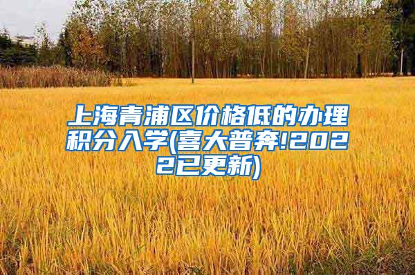 上海青浦区价格低的办理积分入学(喜大普奔!2022已更新)