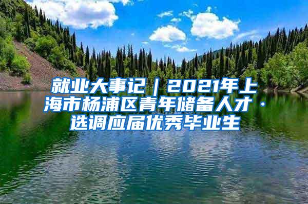 就业大事记｜2021年上海市杨浦区青年储备人才·选调应届优秀毕业生