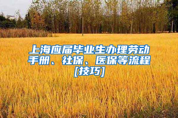 上海应届毕业生办理劳动手册、社保、医保等流程[技巧]