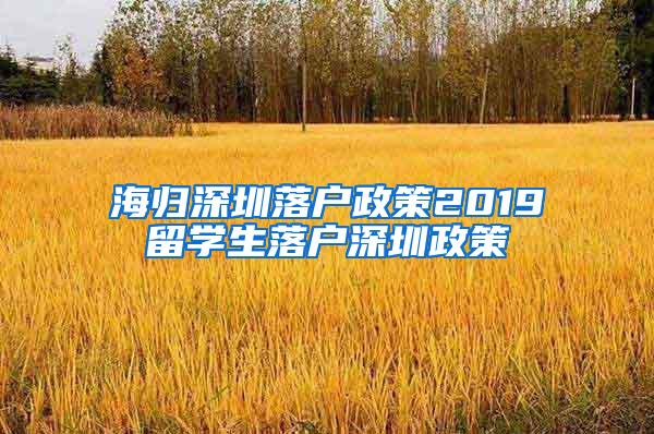 海归深圳落户政策2019留学生落户深圳政策