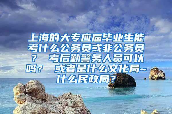 上海的大专应届毕业生能考什么公务员或非公务员？ 考后勤警务人员可以吗？ 或者是什么文化局~什么民政局？