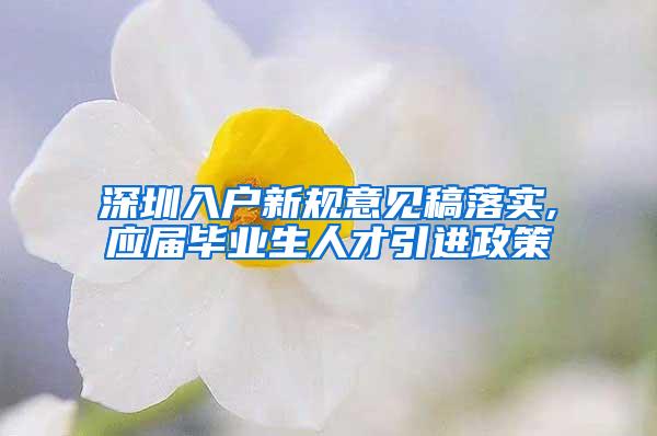 深圳入户新规意见稿落实,应届毕业生人才引进政策