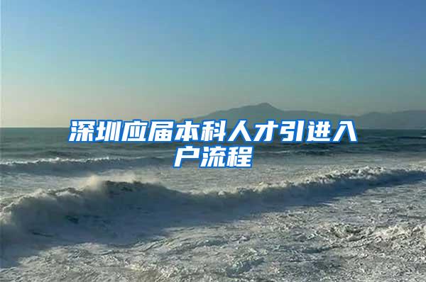 深圳应届本科人才引进入户流程