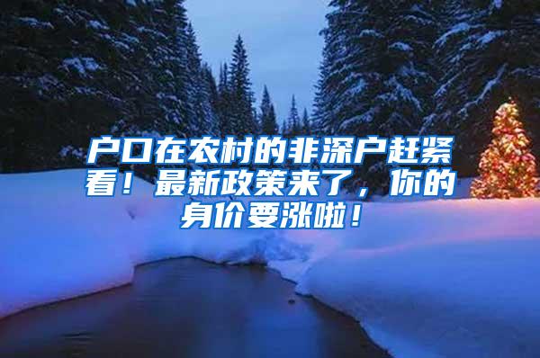 户口在农村的非深户赶紧看！最新政策来了，你的身价要涨啦！