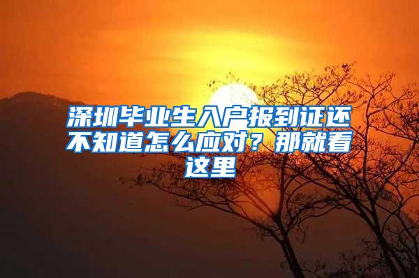 深圳毕业生入户报到证还不知道怎么应对？那就看这里