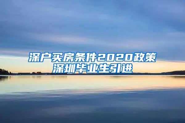 深户买房条件2020政策深圳毕业生引进