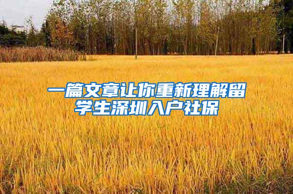 一篇文章让你重新理解留学生深圳入户社保