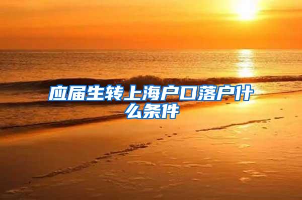 应届生转上海户口落户什么条件