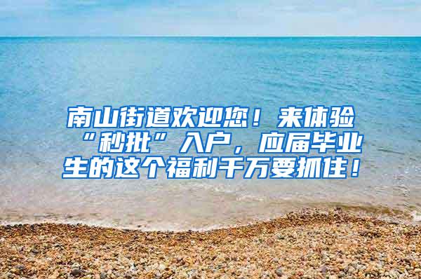 南山街道欢迎您！来体验“秒批”入户，应届毕业生的这个福利千万要抓住！