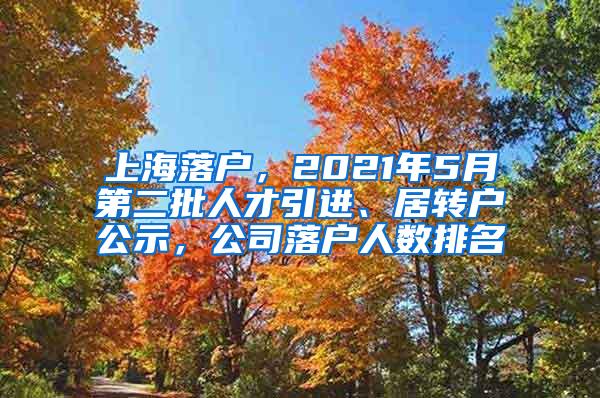 上海落户，2021年5月第二批人才引进、居转户公示，公司落户人数排名