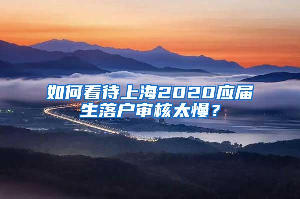 如何看待上海2020应届生落户审核太慢？