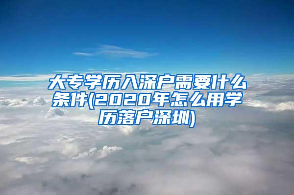 大专学历入深户需要什么条件(2020年怎么用学历落户深圳)