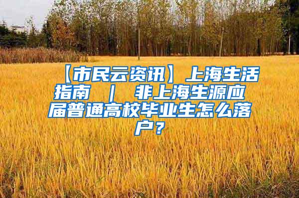 【市民云资讯】上海生活指南 ｜ 非上海生源应届普通高校毕业生怎么落户？