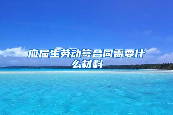 应届生劳动签合同需要什么材料