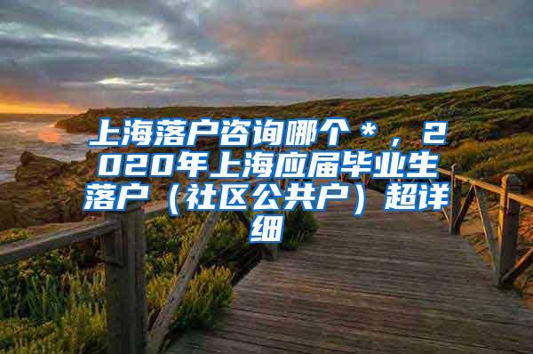 上海落户咨询哪个＊，2020年上海应届毕业生落户（社区公共户）超详细