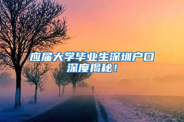 应届大学毕业生深圳户口深度揭秘！