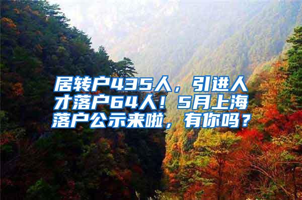 居转户435人，引进人才落户64人！5月上海落户公示来啦，有你吗？