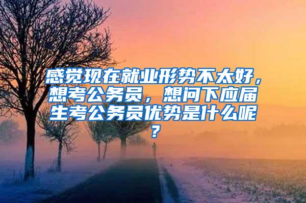 感觉现在就业形势不太好，想考公务员，想问下应届生考公务员优势是什么呢？