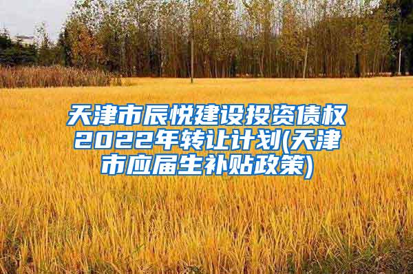 天津市辰悦建设投资债权2022年转让计划(天津市应届生补贴政策)