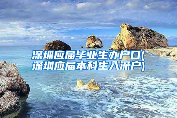 深圳应届毕业生办户口(深圳应届本科生入深户)