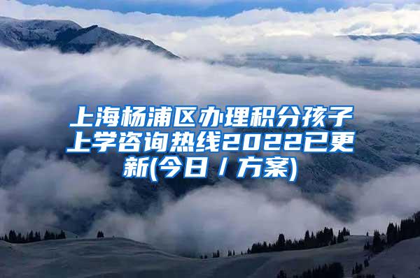 上海杨浦区办理积分孩子上学咨询热线2022已更新(今日／方案)