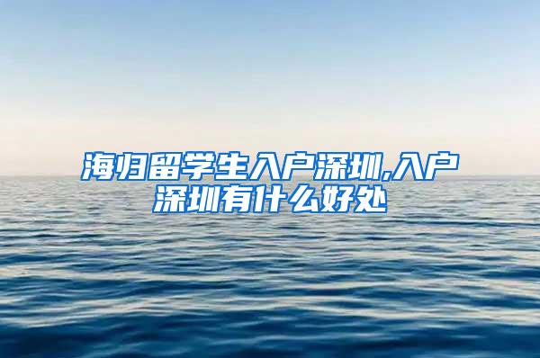 海归留学生入户深圳,入户深圳有什么好处