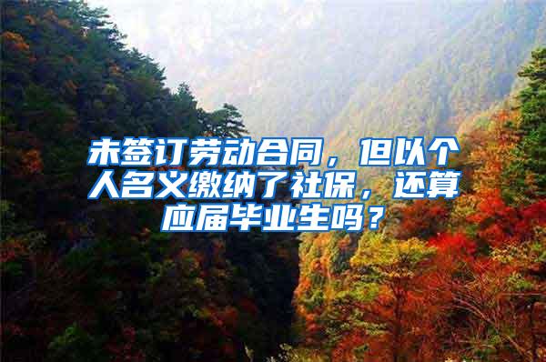 未签订劳动合同，但以个人名义缴纳了社保，还算应届毕业生吗？