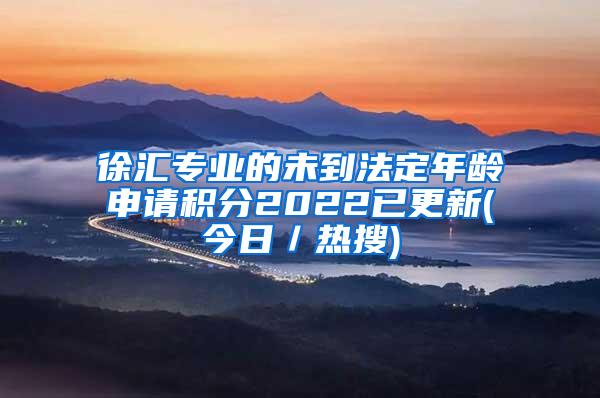 徐汇专业的未到法定年龄申请积分2022已更新(今日／热搜)