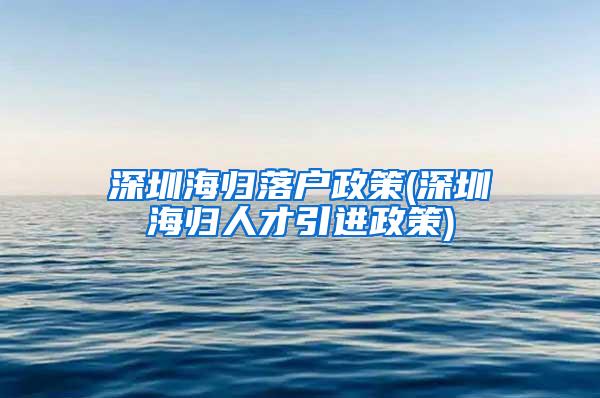 深圳海归落户政策(深圳海归人才引进政策)