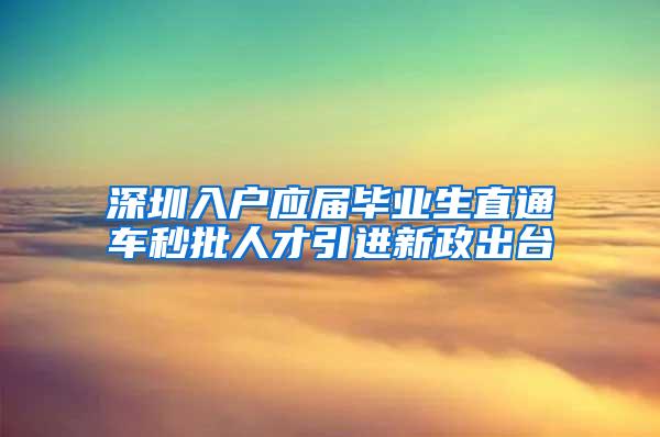 深圳入户应届毕业生直通车秒批人才引进新政出台