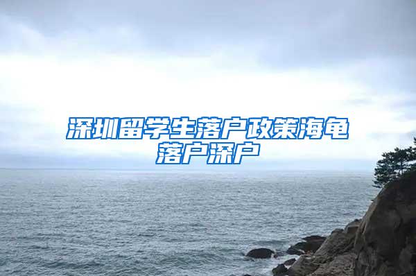 深圳留学生落户政策海龟落户深户